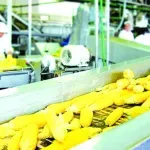 НСИ засече: Производството на храни намалява