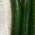 Производители обясняват защо кило краставици струва над 5 евро