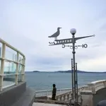 Избори на борда: Моряците от ферибот „Дружба“ гласуват в открито море