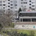 Труп на клошар изплаши Варна