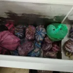 БАБХ затвори още две кланици