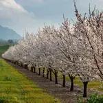 Жълт код за студ и слани в Североизточна България