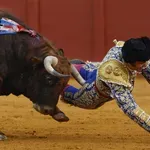 Бик коварно разпра задника на Краля на матадорите в Испания