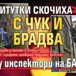 Бранят котки в дома си: Реститутки скочиха с чук и брадва срещу инспектори на БАБХ