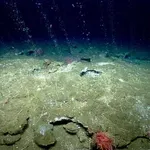 Учени откриха скрит източник на метан в океана