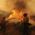 Хиляди напускат домовете си в Япония заради опустошителни горски пожари