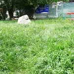 Внимание: Сезонът на кърлежите е, опасността е сериозна