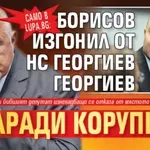 Само в Lupa.bg: Борисов изгонил от НС Георгиев Георгиев заради корупция