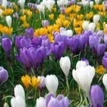 Много слънце обещават синоптиците този уикенд