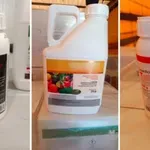 Наши митничари разкриха нелегален внос на продукти за растителна защита