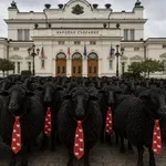 Седмицата: На овце - звънче! По вратовръзките ли да ги (о)познаем?