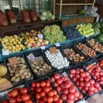 Българските плодове и зеленчуци стават екзотични култури, вносът е 80%