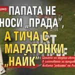 По Сорентино: Папата не носи „Прада”, а тича с маратонки „Найк”