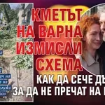 Кметът на Варна измисли схема как да сече дървета, за да не пречат на бетона