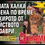 История с щастлив край: Брачната халка, изгубена по време на Джирото от семейството динозаври, се намери