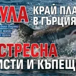 Акула край плаж в Гърция стресна туристи и къпещи се