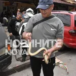 Шок на зеленчуковия пазар в Хасково: Змия пълзи в краката на минувачите