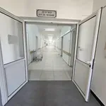 70-годишна шофьорка помете 4-годишно дете в Чепеларе