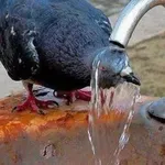 Днес градусите минаха 30 - вижте къде