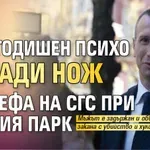 Лудница: 32-годишен психо извади нож на шефа на СГС при Южния парк