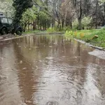 Частично бедствено положение в общините Вълчи дол и Дългопол