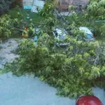През новата седмица: Мощни бури и градушки връхлитат България