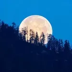Изпращаме май със "Синя Луна"