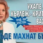 Проф. Ива Христова: Ухапе ли ви кърлеж - критично важно е да бъде махнат бързо
