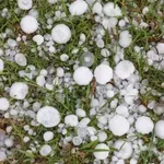 Градушка нанесе щети по земеделска продукция в общините Неделино и Смолян