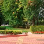 Внимание: Софийските градинки и паркове крият сериозни опасности