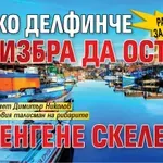 Радост за очите: Малко делфинче избра да остане в "Ченгене скеле" (ВИДЕО)