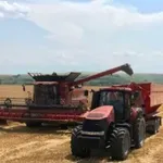 Пожар, тръгнал от комбайн, унищожи 30 дка узрял ечемик