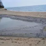 Мазутно чудовище се разля по плажовете на Черноморието