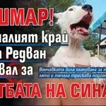 КОШМАР! Загиналият край Босна Редван пътувал за сватбата на сина си