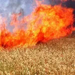 Пожар погълна неожъната нива в Стара Загора