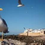 Лятото е тук, от нас се иска просто да му се наслаждаваме