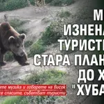 Мечка изненадва туристите в Стара планина, до хижа "Хубавец"
