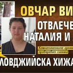 Ново 20: Овчар видял отвлечената Наталия и Асен край ловджийска хижа