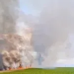 Нива пламна край хасковското село Подкрепа