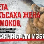 Кучета разкъсаха жена в Самоков, стопанинът им избяга