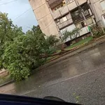 Бурята връхлетя Петрич, Благоевград мина метър