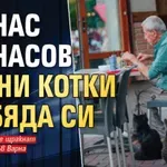 Атанас Атанасов храни котки с обяда си