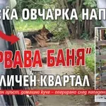 Немска овчарка направи „кървава баня“ в столичен квартал