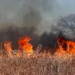 Пожар избухна опасно близо до къщи в Луковит