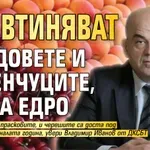 Поевтиняват плодовете и зеленчуците, но на едро