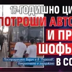 17-годишно цигане потроши автобус и преби шофьора в София (ВИДЕО)