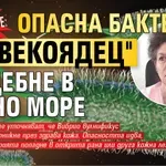 Внимание: Опасна бактерия "човекоядец" ни дебне в Черно море