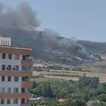Локализираха пожара при Радловци