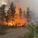 Над 150 пожара са гасили огнеборците вчера