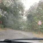 Буря с градушка удари Старозагорско
